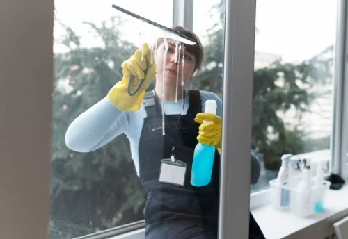 Nettoyage de vitres intérieures et extérieures à Maxou